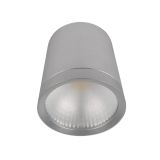 LEDES MÉLYSUGÁRZÓ RDLCOB 20W 230V 2700K 60° EZÜST