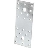 PERFORATED PLATE LPS 100X35MM